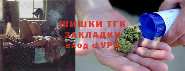мдпв Новозыбков