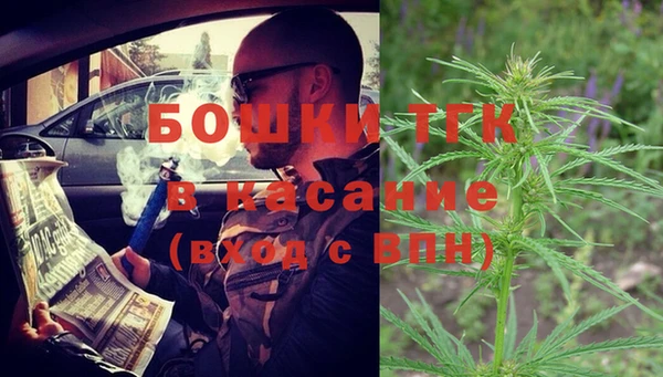 мдпв Новозыбков