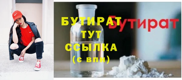 мдпв Новозыбков