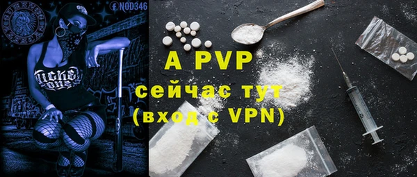 мдпв Новозыбков