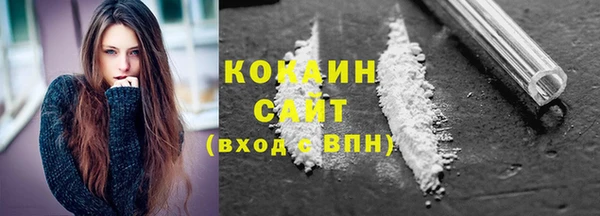 мдпв Новозыбков
