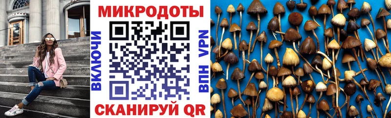 Галлюциногенные грибы Psilocybine cubensis  Купить закладки  Ивангород 